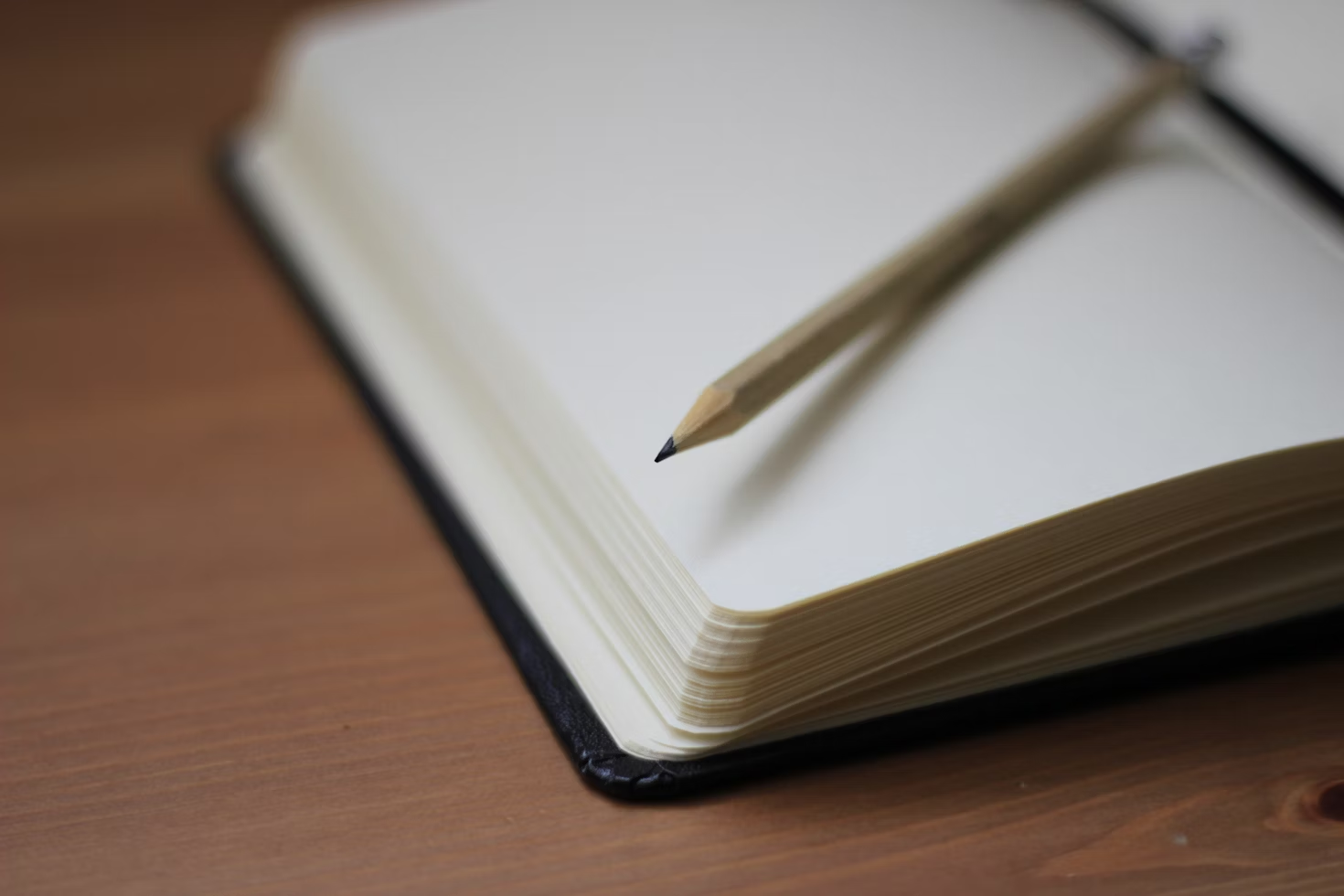 【大前提】Notionの標準機能では手書き入力に対応していない